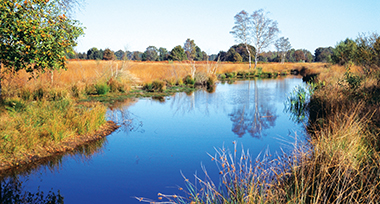 Rivier in een groene omgeving