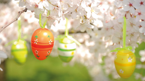 3-day Happy Easter Package_0